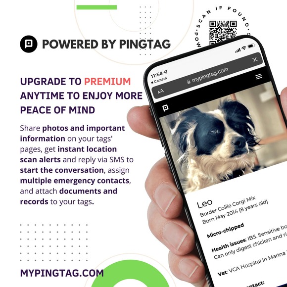 Personalized Bone Pet Tag,Engraved Pet's Name Tag and QR Code Powered By PingTag - Picture 6 of 11